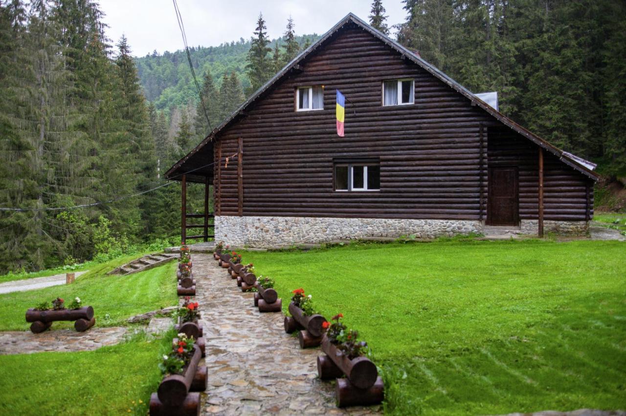 Cabana Patru Brazi Stana de Vale Exteriér fotografie