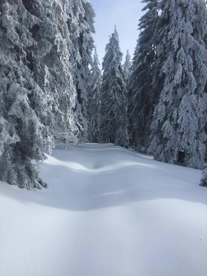 Cabana Patru Brazi Stana de Vale Exteriér fotografie