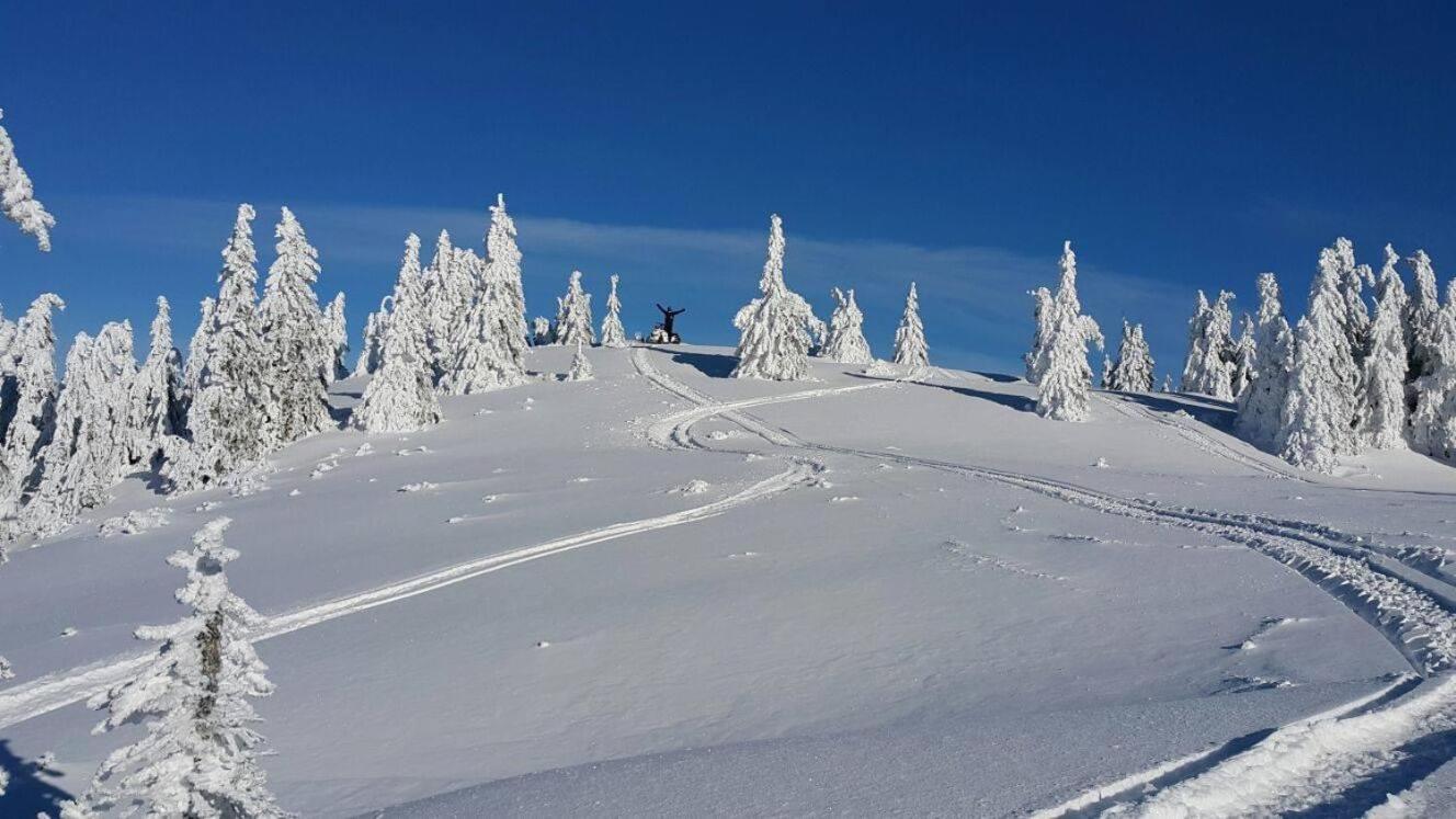 Cabana Patru Brazi Stana de Vale Exteriér fotografie