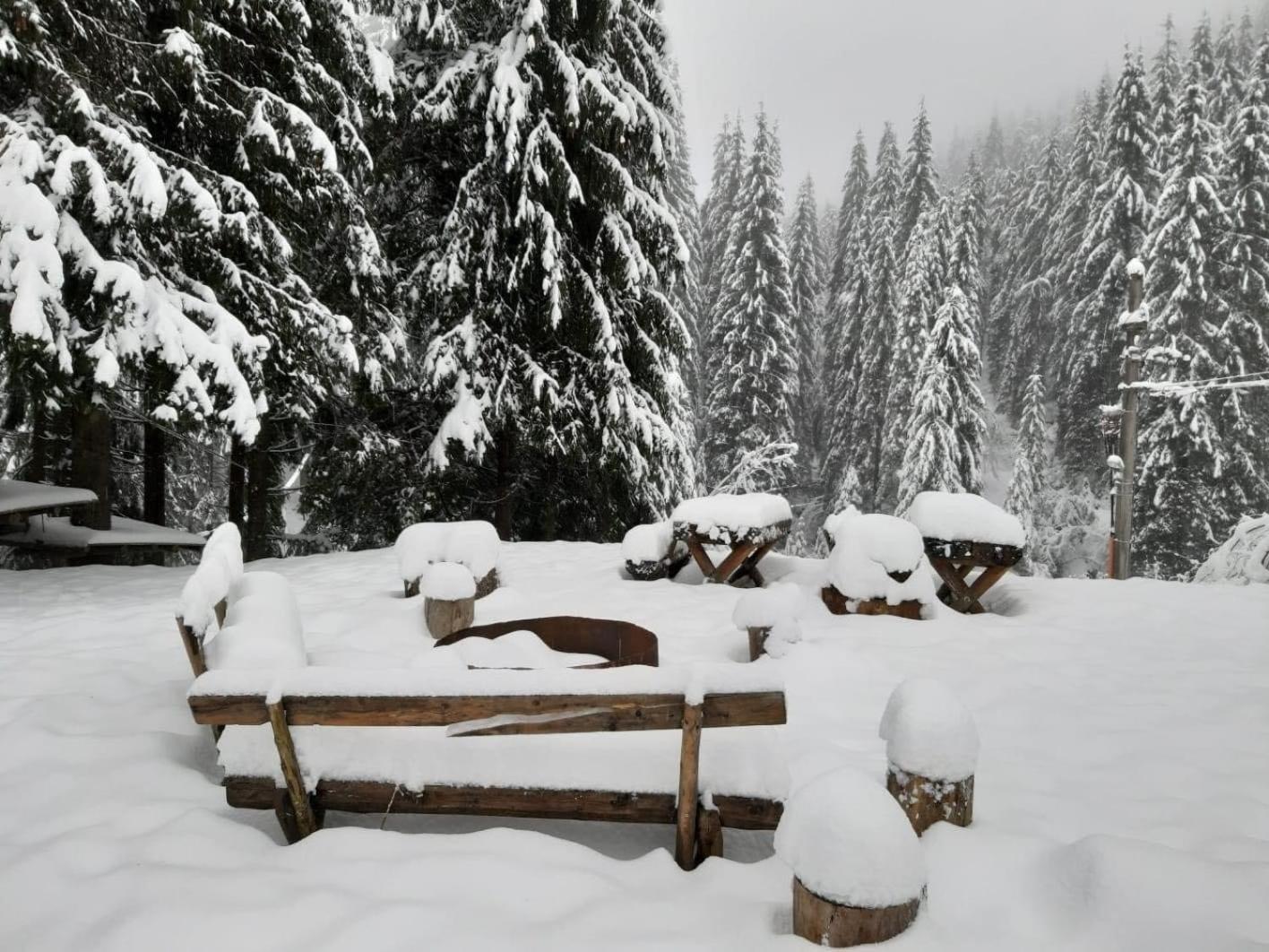 Cabana Patru Brazi Stana de Vale Exteriér fotografie