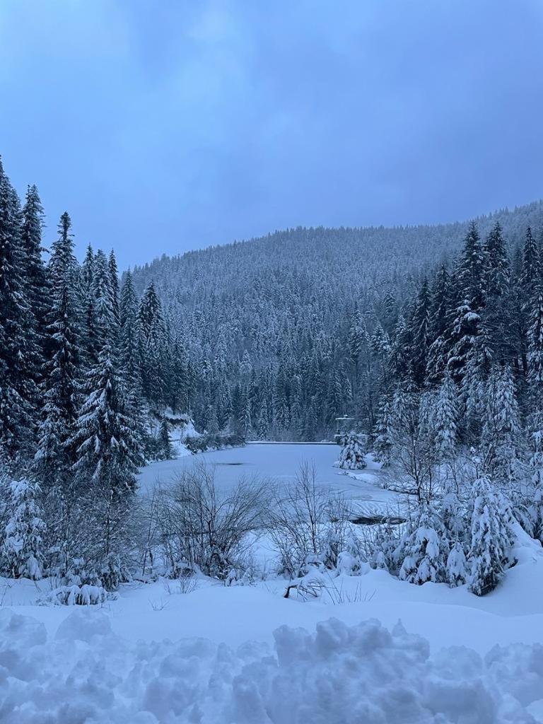 Cabana Patru Brazi Stana de Vale Exteriér fotografie
