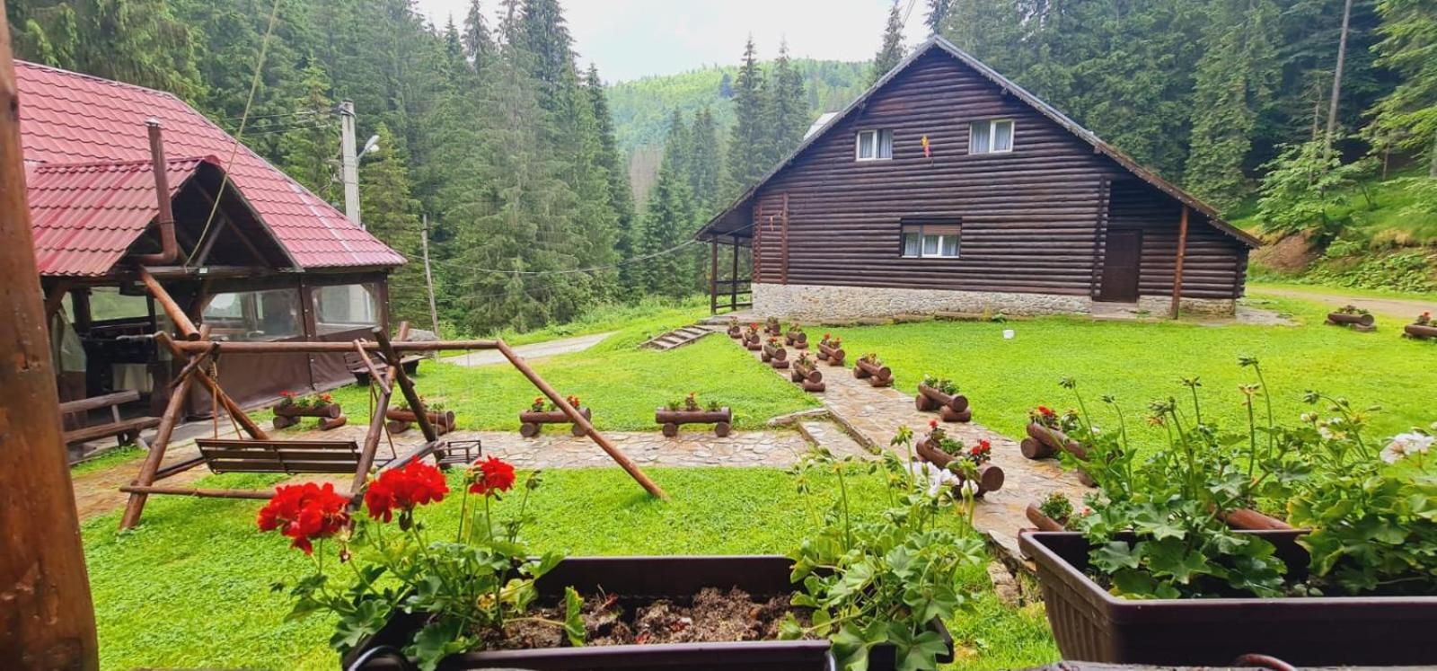 Cabana Patru Brazi Stana de Vale Exteriér fotografie