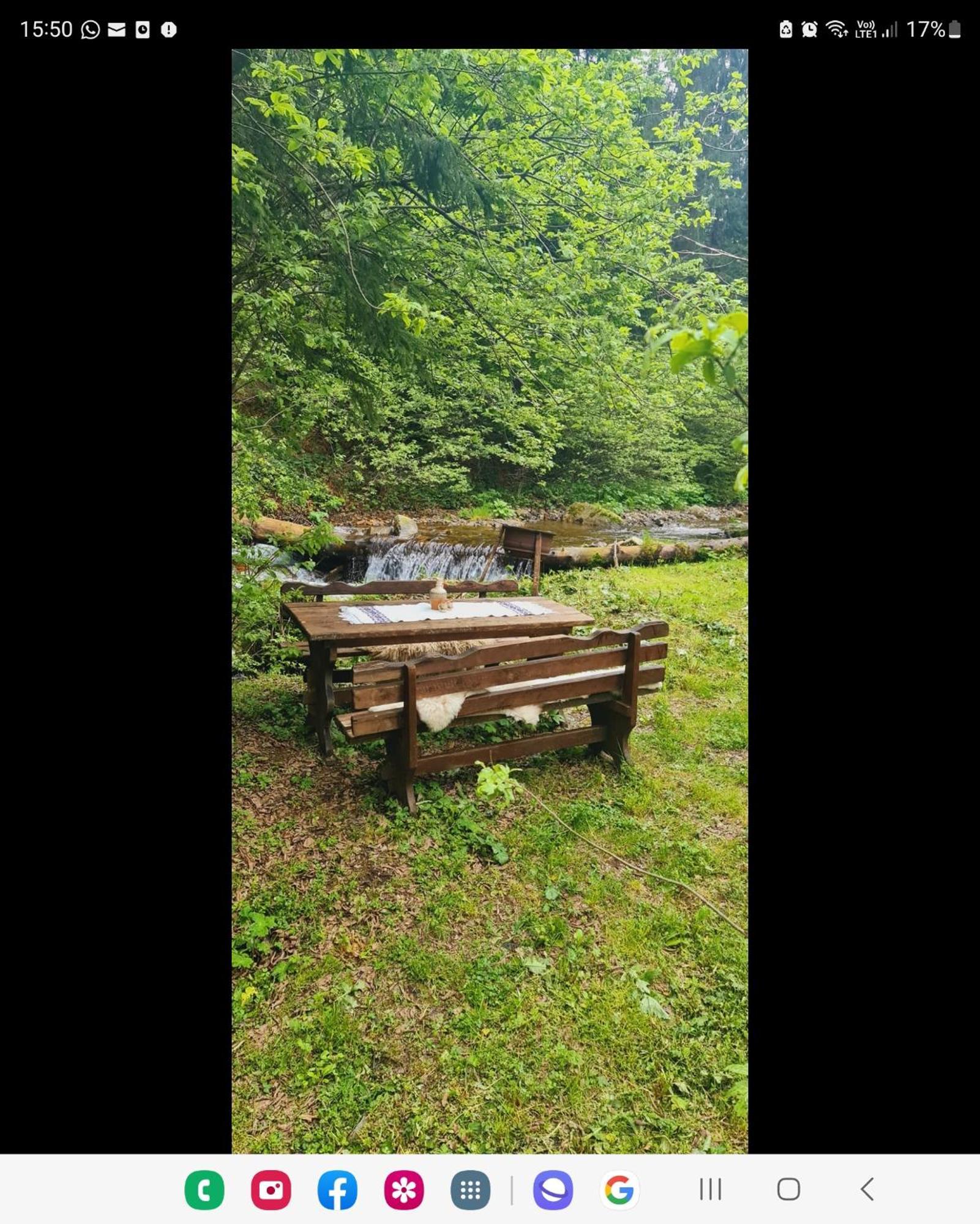 Cabana Patru Brazi Stana de Vale Exteriér fotografie