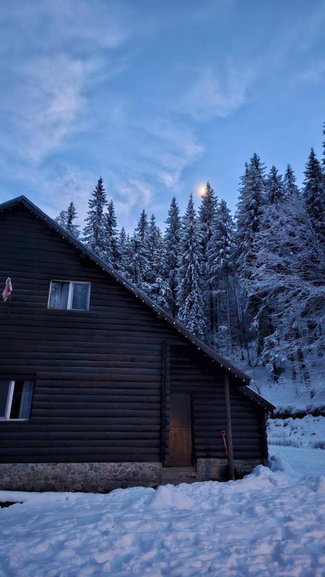 Cabana Patru Brazi Stana de Vale Exteriér fotografie